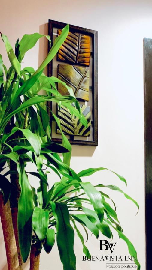 Buenavista Inn Maiquetia Bagian luar foto